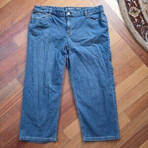 Liz Claiborne Boyfriend Fit Jeans Size Petite 16